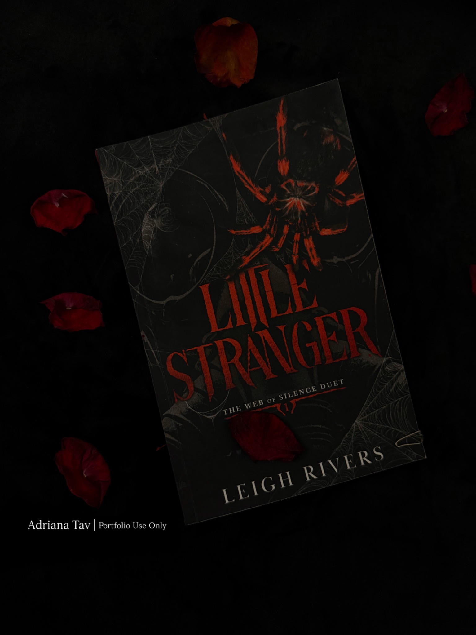 Editorial Photography — Little Stranger Book